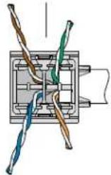 Panduit CJR5E88TGBL - 32