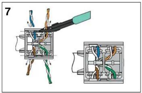 Panduit CJR5E88TGBL - 41