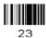 Approx APPLS01 - English - 35