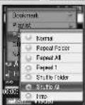 SAMSUNG YP-T8Z - | Play Mode - 6