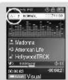 SAMSUNG YP-T8Z - | Ending Point - 1
