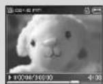 SAMSUNG YP-T8Z - Viewing a Video - 8