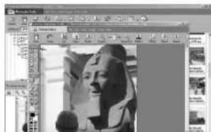 Screenshot of a photo editing software interface with a grayscale portrait and toolbars visible