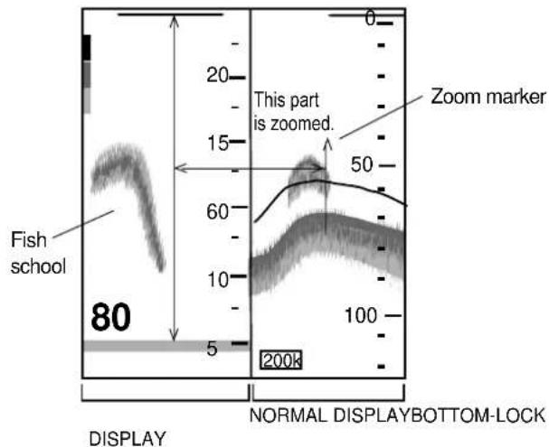 Fish school 80 5 20 15 60 10 100 200k This part is zoomed. Zoom marker NORMAL DISPLAYBOTTOM-LOCK