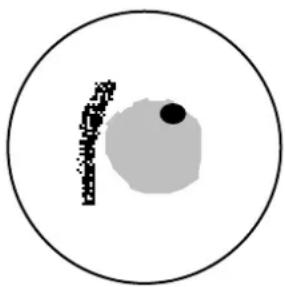 FURUNO 1742C - Echo Averaging - 2