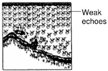 Weak echoes