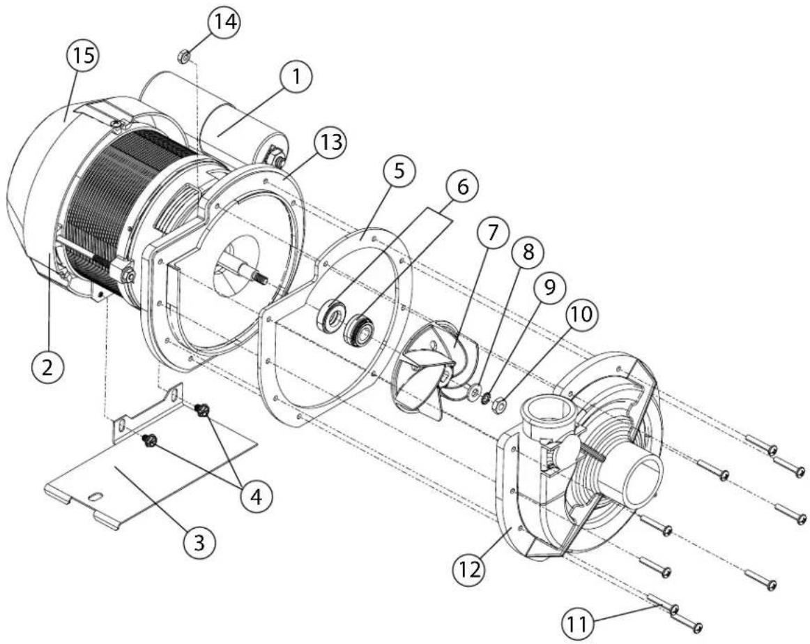 Technical diagram of an electric motor with numbered components for identification and assembly reference.