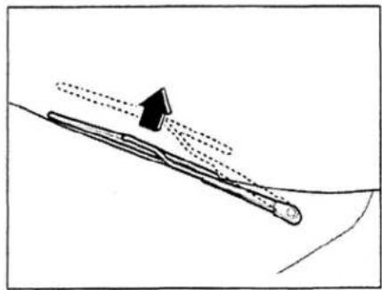 MAZDA Millenia (2001) - ▼ One-touch wipers - 1
