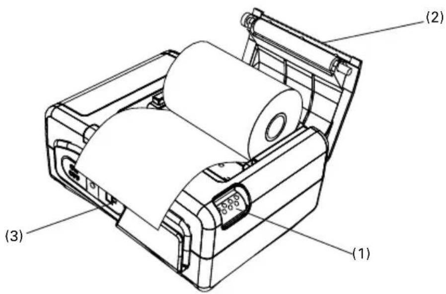CITIZEN CMP-10BT - Replacing the Paper Roll - 1