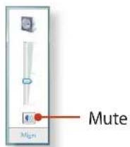 SAMSUNG NP-NC110P - Adjusting the Volume using the Volume Adjustment Program - 1