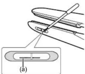 (a)