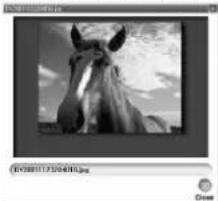 PANASONIC PV-DV203 - To view Still images - 1
