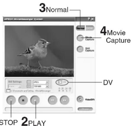 3Normal 4Movie Capture DV STOP 2PLAY