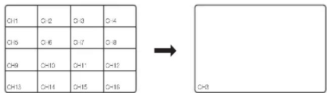CH1 C-2 C-3 C-4 CH5 C-6 C-7 C-8 CH9 C-10 C-11 C-12 CH13 C-14 C-15 C-16 → CH3