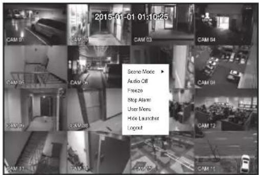 2015-01-01 01:10:25 Scene Mode ▶ Audio Off Freeze Stop Alarm User Menu Hole Launcher Logout
