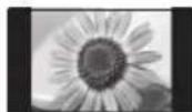 PANASONIC TX-PR50XT50 - Суреттің кез келген қозғалмайтын бөлігін ұзақ көрсетпеген жөн. - 1