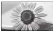 PANASONIC TX-PR46U20 - ■Егер пішімдік арақатынасты қолмен өзгерту үшін - 6