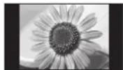PANASONIC TX-PR46U20 - Қозғалмайтын кескінді ұзақ уақыт бойына көрсетпеңіз - 1