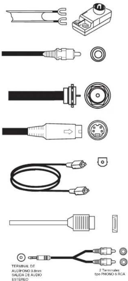 TERMINAL DE AUDIFONO 3.8mm SALIDA DE AUDIO ESTÉREO 2 Terminales tipo PHONO 6 RCA