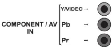 COMPONENT / AV IN Y/VIDEO → Pb → Pr -