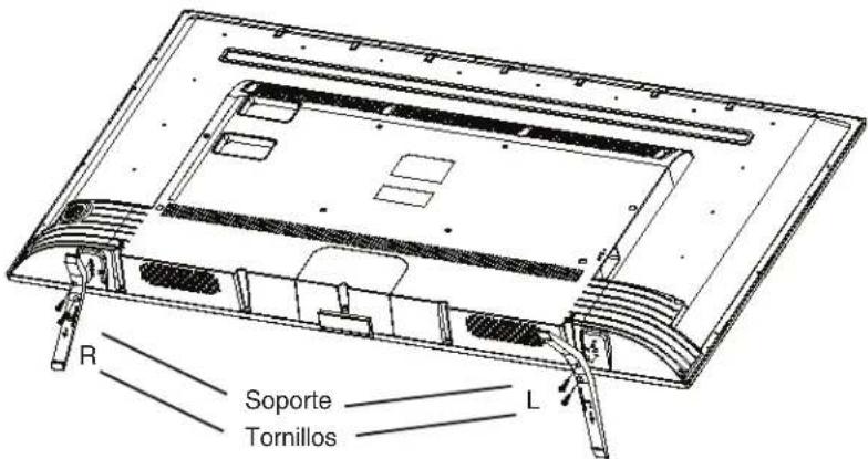R Soporte Tornillos L