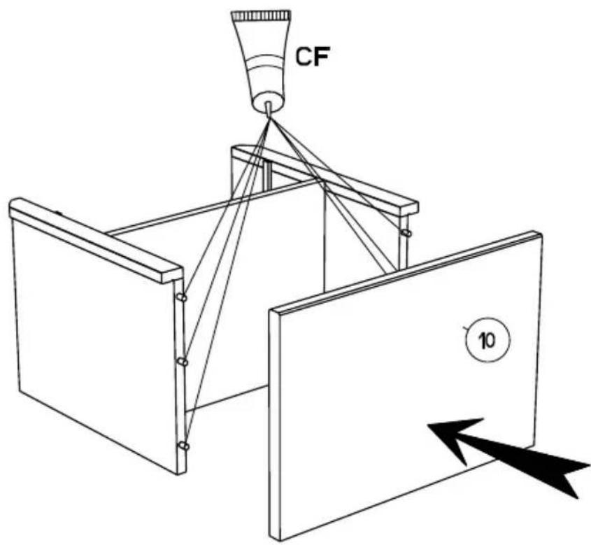 CF 10