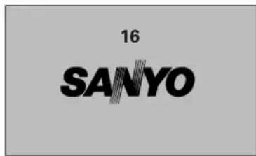 16 SANYO