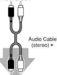 Audio Cable (stereo) *