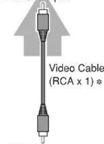 Video Cable (RCA x 1)*