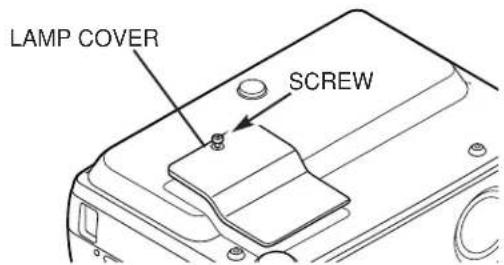 LAMP COVER SCREW