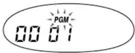 PGM 00 11