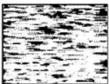 SONY SLV-SE440K - Symptoms caused by contaminated video heads - 4