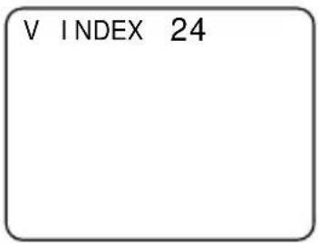 V INDEX 24