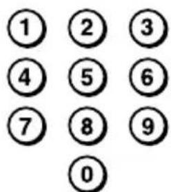 ① ② ③ ④ ⑤ ⑥ ⑦ ⑧ ⑨ ⑩