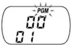 PGM 00 01