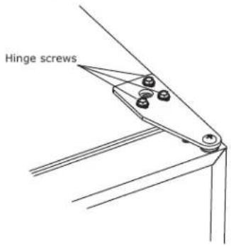 Hinge screws