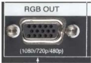 RGB OUT (1080/720p/480p)