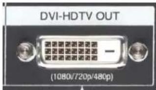 DVI-HDTV OUT (1080/720p/480p)