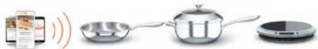 Hestan Cue Induction Burner 41000 - WARNING: - 6