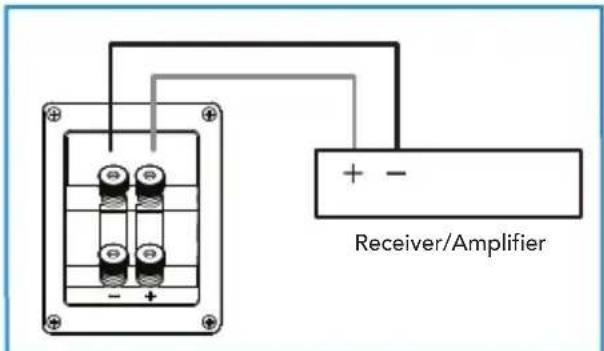 Receiver/Amplifier