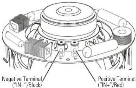 Negative Terminal ("IN−"/Black) Positive Terminal ("IN+"/Red)