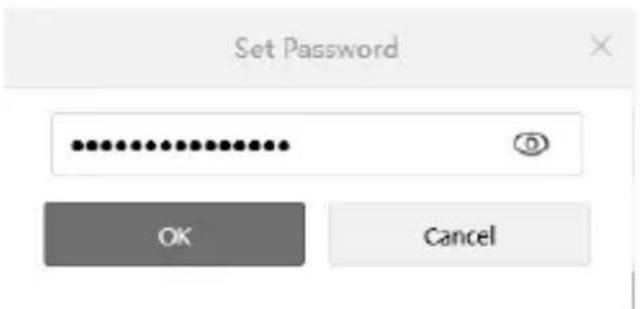 Set Password OK Cancel