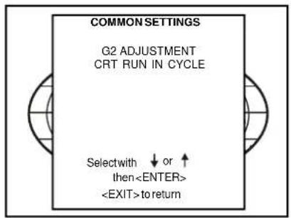 COMMON SETTINGS G2 ADJUSTMENT CRT RUN IN CYCLE Selectwith ↓ or ↑ then to return