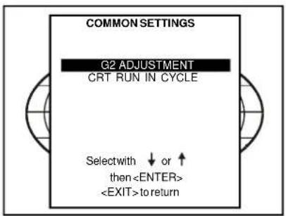 COMMON SETTINGS G2 ADJUSTMENT CRT RUN IN CYCLE Selectwith ↓ or ↑ then to return
