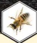 Neat Beecaster - BEE ACCESSORIES - 4