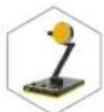 Neat Beecaster - THE BEE FAMILY - 3