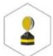 Neat Beecaster - THE BEE FAMILY - 2