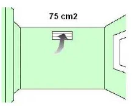 75 cm2