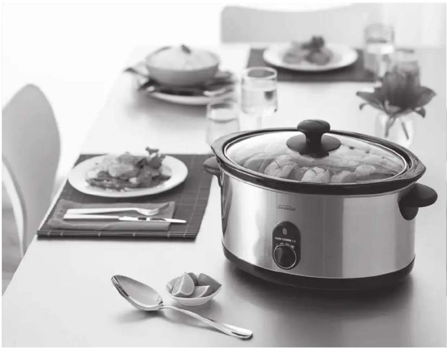 SUNBEAM SecretChef HP4520 - 1