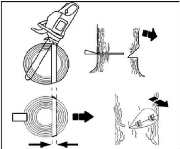 Diagram illustrating the process of a tree stumping tool, showing steps from cutting to surface treatment with directional arrows.